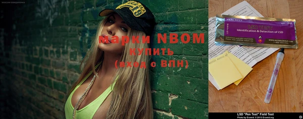 гашик Ступино