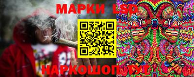 spice Заволжье
