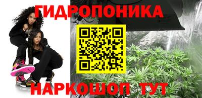 сатива Заводоуковск