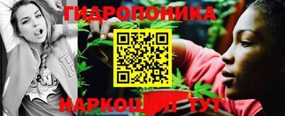 сатива Заводоуковск