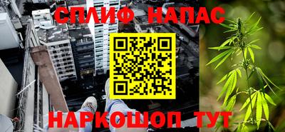 сатива Заводоуковск