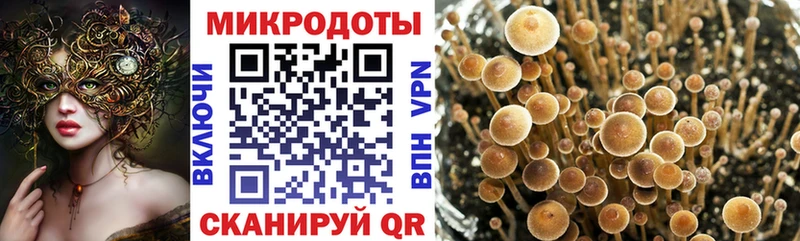 Галлюциногенные грибы GOLDEN TEACHER  Чернушка 