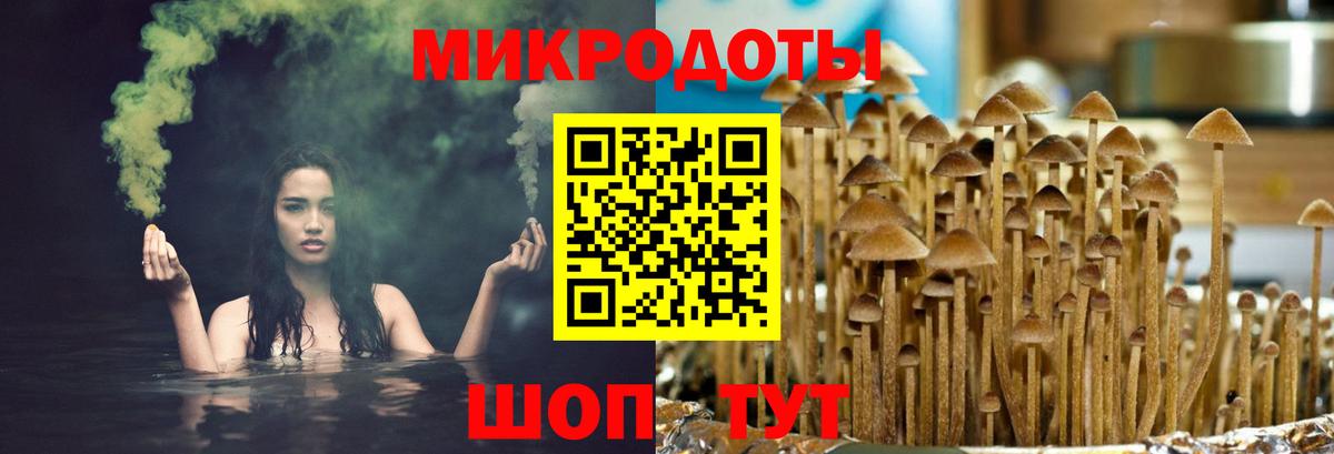 Галлюциногенные грибы Psilocybe  Вход с VPN  Чернушка 